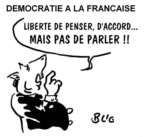 Démocratie à la française (24 01 2012).JPG